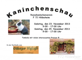 kaninchenschau-2013